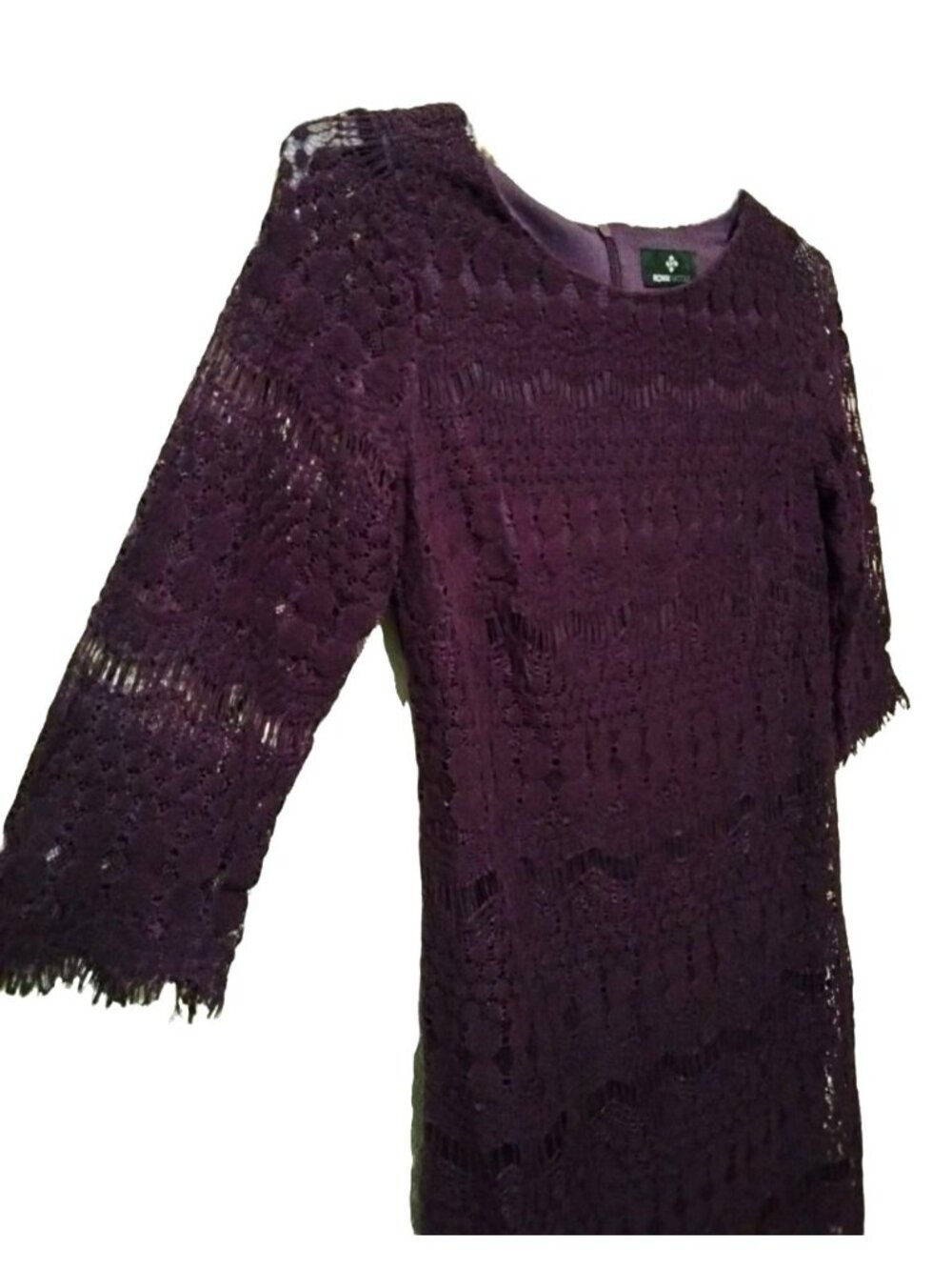 Ronni Nicole Size 8P Dress Purple Lace Fully Lined Scalloped Hem Back Zipper - Picture 3 of 8